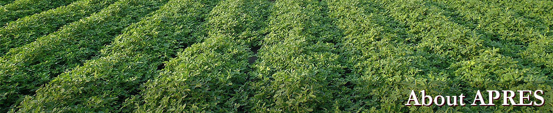 About APRES